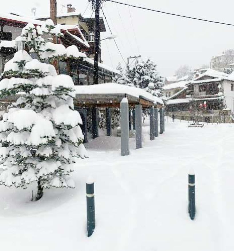 Εδώ  Σέλι… - Μην ξεχνάς από πού είσαι *Του Γιάννη Ντισέλια