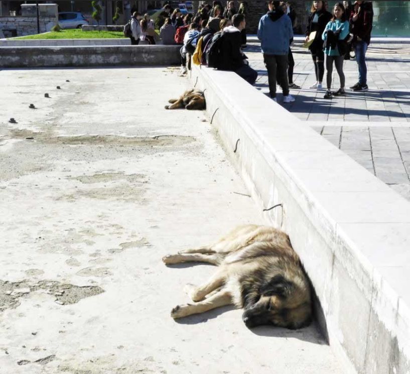 Αραχτά στο «σιντριβάνι» περιμένουν  την εκκίνηση της πορείας