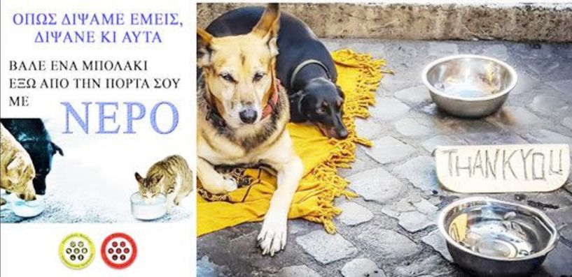 Ακριβώς αυτό, χωρίς λόγια…