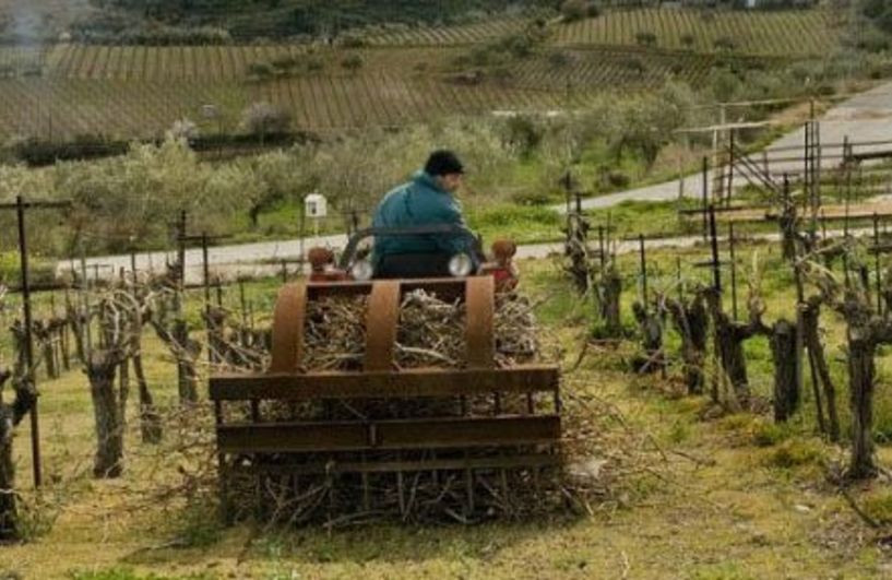 Κατά τη χθεσινή συνάντηση Μητσοτάκη - Μόντι Μνημόνιο Συνεργασίας στον Αγροτικό Τομέα, υπογράφτηκε μεταξύ Ελλάδα και Ινδίας – Αφορά και την μετάκληση εργατών γης