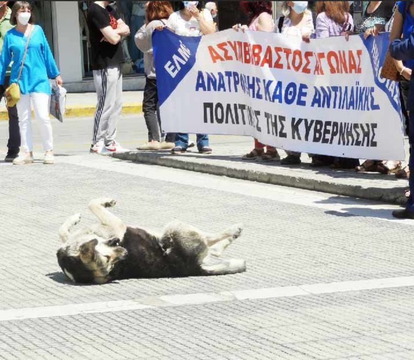 Έπαθε σοκ και ο σκύλος της Πλατείας από το εργασιακό νομοσχέδιο;