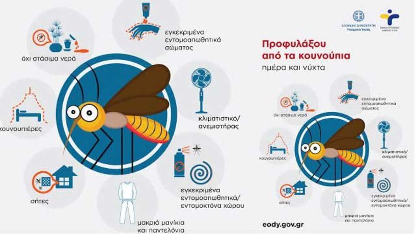 Δήμος Αλεξάνδρειας και ΕΟΔΥ: Μέτρα προφύλαξης από τα κουνούπια και τον ιό του δυτικού Νείλου
