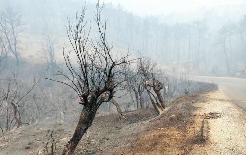 Μέχρι το τέλος Ιουλίου κάηκαν 30% περισσότερες εκτάσεις, από τον ετήσιο μέσο όρο στη χώρα