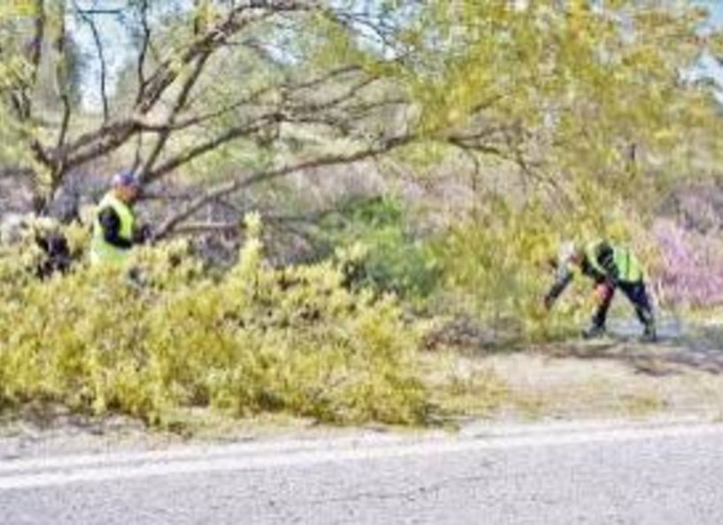 Συνεχίζονται τα κυλοφοριακά μέτρα στο δρόμο Νησελίου - Κυψέλης λόγω κοπής δέντρων