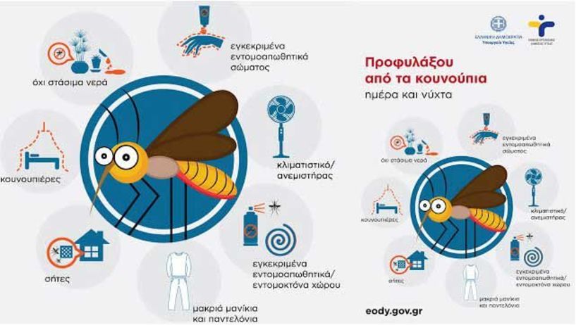 Δήμος Αλεξάνδρειας: Ενημέρωση για τα μέτρα προφύλαξης από τα Κουνούπια