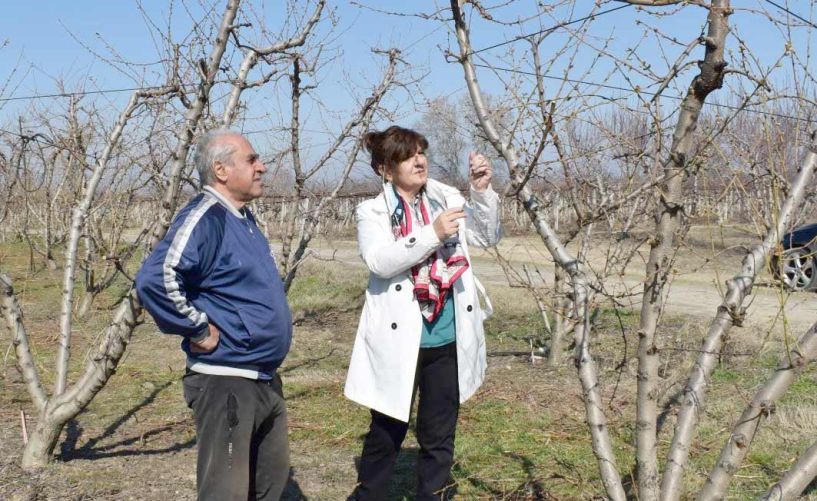 Φρόσω Καρασαρλίδου: «Άμεση ικανοποίηση των αιτημάτων των αγροτικών φορέων για τις ζημιές από τον παγετό»