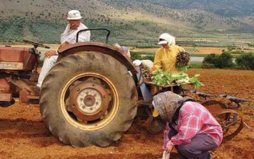 ΕΛΓΑ: Υποβολή αιτήσεων από ενδιαφερόμενους παραγωγούς για το πρόγραμμα κρατικών ενισχύσεων “Ετήσιο 2019”