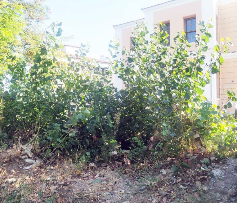Γρήγορα αντανακλαστικά…αλλά μισή δουλειά!!!