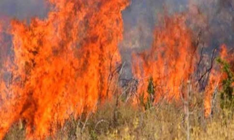 Τριάντα εννέα δασικές πυρκαγιές το τελευταίο 24ωρο σε όλη την Ελλάδα