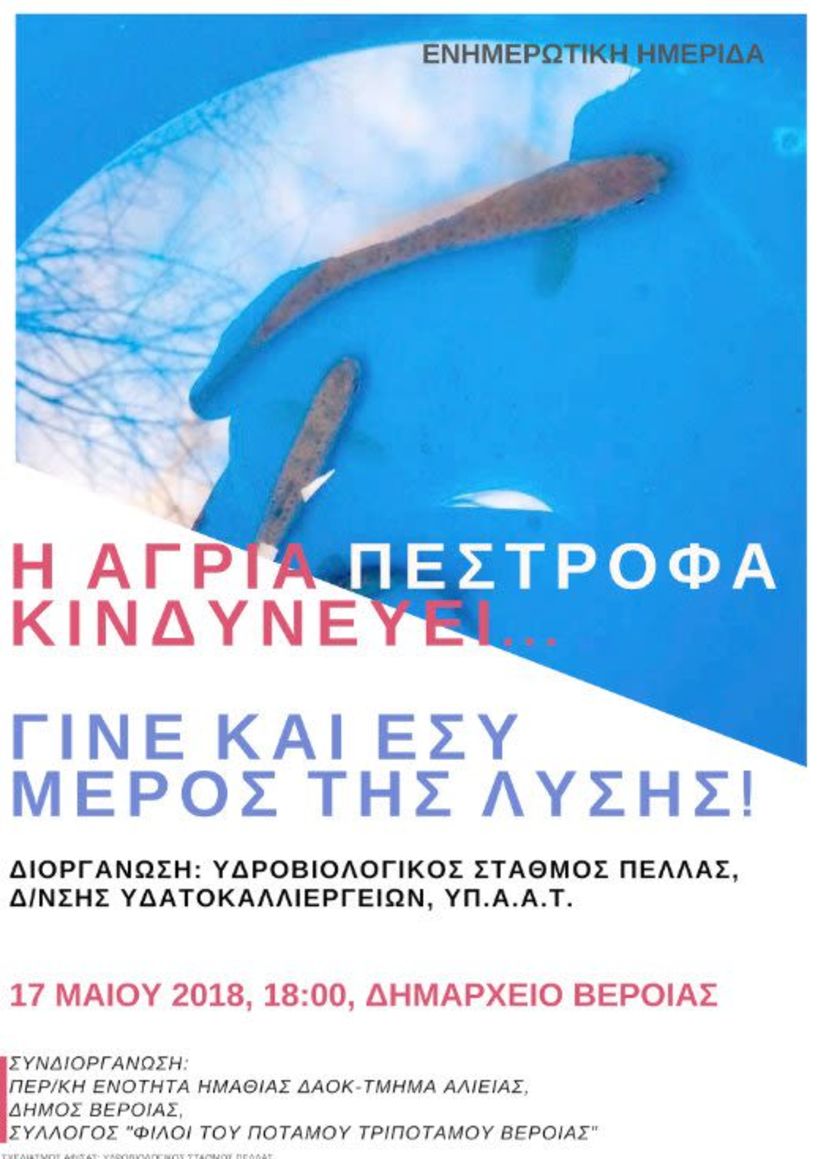 Ημερίδα για τη διάσωση της άγριας πέστροφας, στο Δημαρχείο της Βέροιας