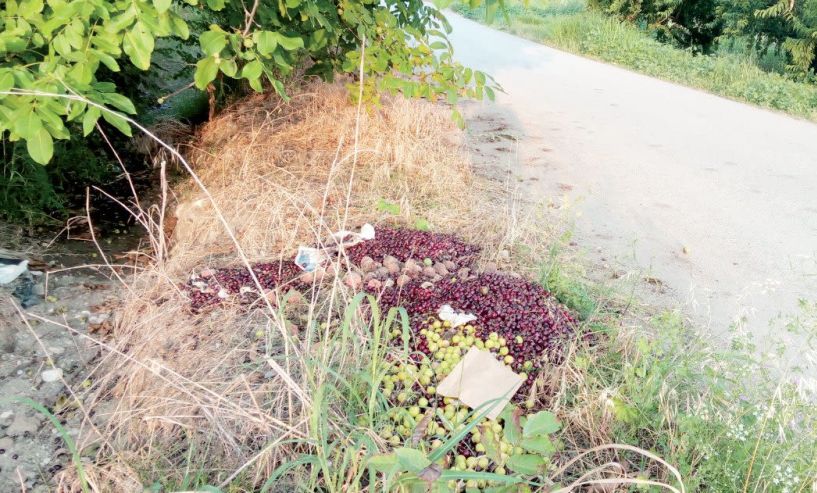 Στοίβες από σάπια φρούτα στο Μακροχώρι