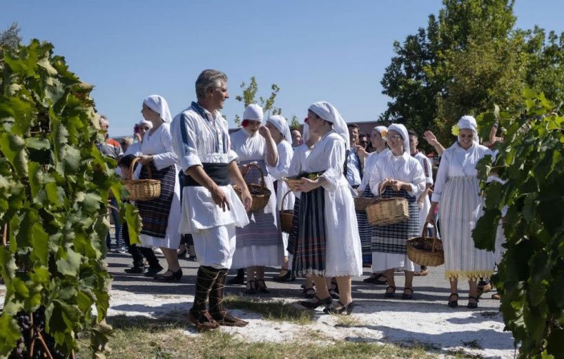 Κάλεσμα του Λυκείου των Ελληνίδων Νάουσας  στο 3ο Φεστιβάλ Τρύγου