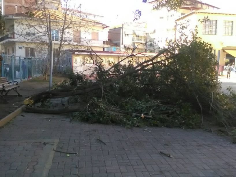 Ανακοίνωση του Δήμου Βέροιας για μέτρα προστασίας λόγω ισχυρών ανέμων 